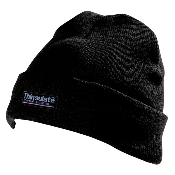 Adult Thinsulate® Hat Thumbnail